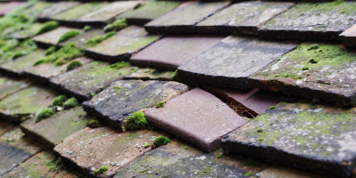 Toseland roof repair costs